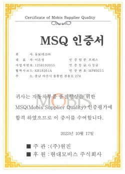 MSQ Certificate